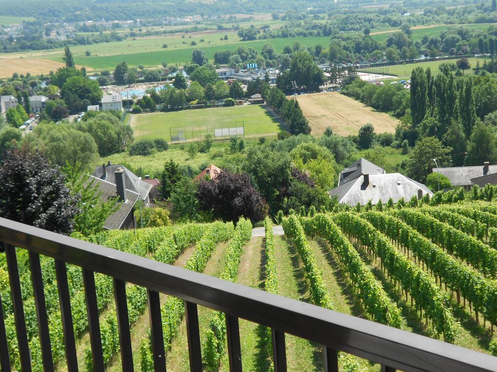 Hotel Des Vignes Restaurant Du Pressoir Remich Exteriér fotografie